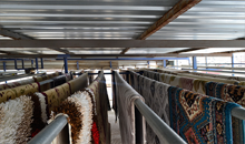 İzmir Halı Kurutma İşlemi